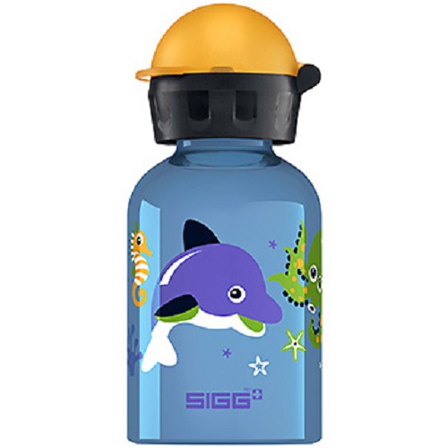 SIGG Water Bottle 300ml SIG030832040 - Dolphin dan Co